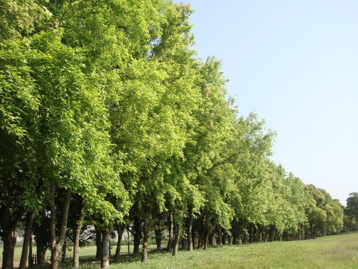 Tsou Ma Lai Farm Hotel Tainan Luaran gambar
